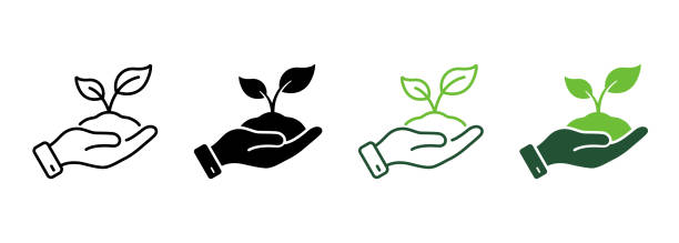 illustrazioni stock, clip art, cartoni animati e icone di tendenza di linea di piantine organiche ecology e set di icone silhouette. crescita eco albero ambiente. pianta nella raccolta di simboli della mano umana su sfondo bianco. concetto di agricoltura. illustrazione vettoriale isolata - luggage hold