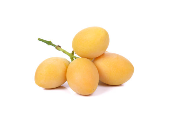 istock A Closeup sweet Marian plum thai fruit isolated on white background (Mayongchid Maprang Marian Plum and Plum Mango,Thailand). 1448524023