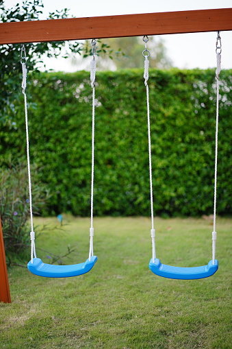 Blue swing hanging on wood in garden