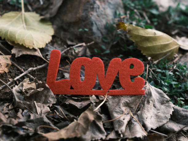 istock red decorative love lettering on leaves 1448532714