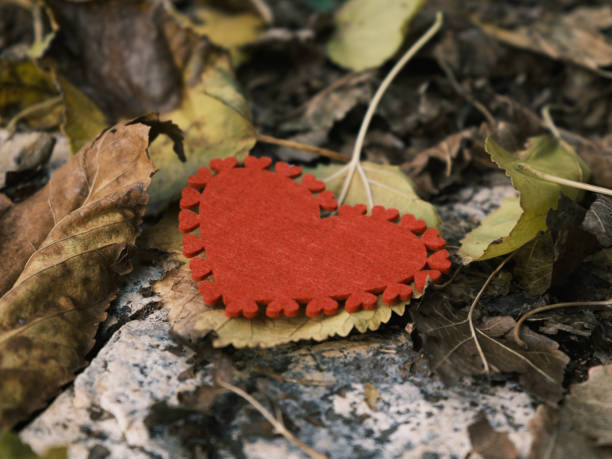 decorative red heart on leaves