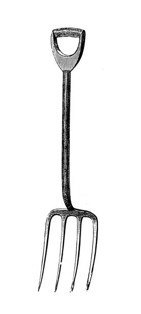 Antique engraving illustration: Ordinary digging fork Antique engraving illustration: Ordinary digging fork garden fork stock illustrations