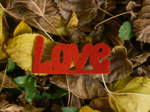 istock red decorative love lettering on leaves 1448533936