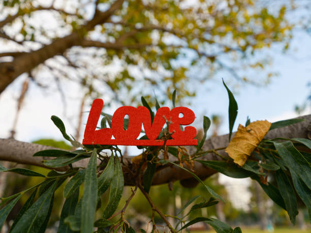 red decorative love lettering on a tree