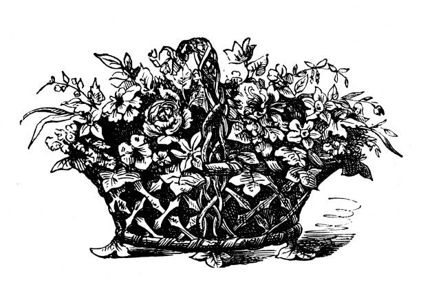 Antique engraving illustration: Flowers in basket