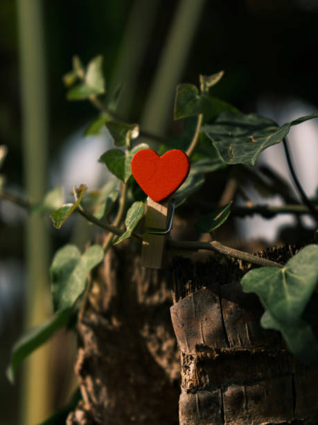 istock decorative red heart among tree leaves 1448537210