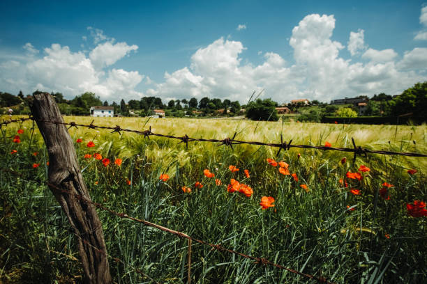 istock Back to the ancient Rome: the Appian Way 1448538721