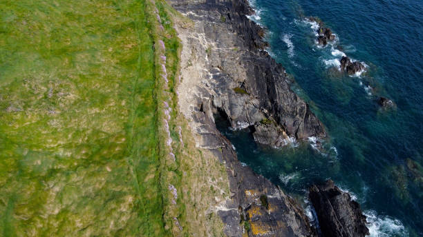 Dense thickets of grass on the shore. Grass-covered rocks on the Atlantic Ocean coast. Nature of Ireland, top view. Drone point of view.