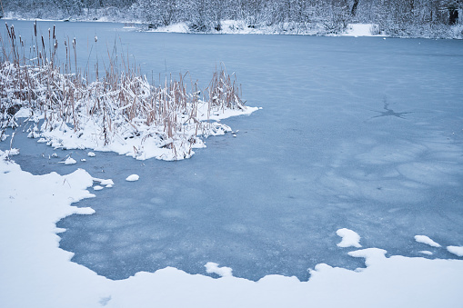 Landscape of a lake in a snowy forest in winter.