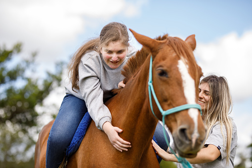 Small child hugs the big bay horse. Children's arms wrapped around the neck of a free horse. Love and friendship emotion concept