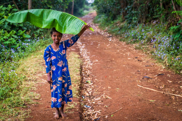african little girl hiding from rain under banana leaf, ethiopia, east africa - africa rain east africa ethiopia imagens e fotografias de stock
