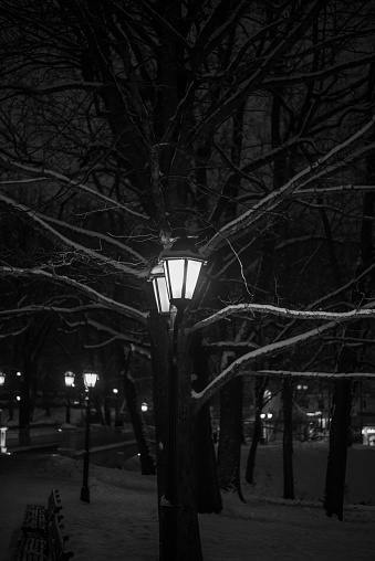 Street light in the park at night with trees around.
