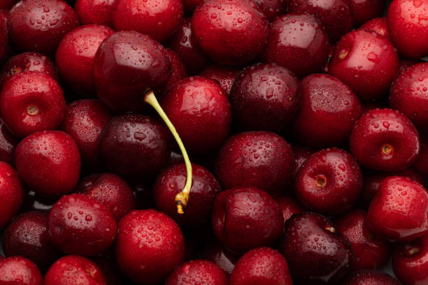 istock Ripe cherries with water drops. 1448550751