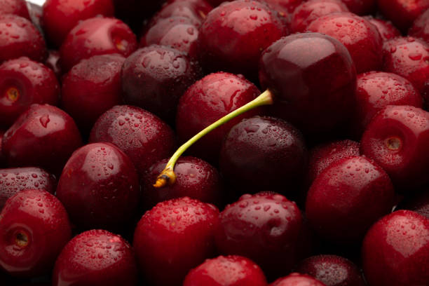 istock Red ripe cherries with water drops 1448550752
