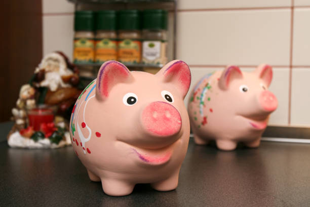 Two piggy bank on the Kitchen.