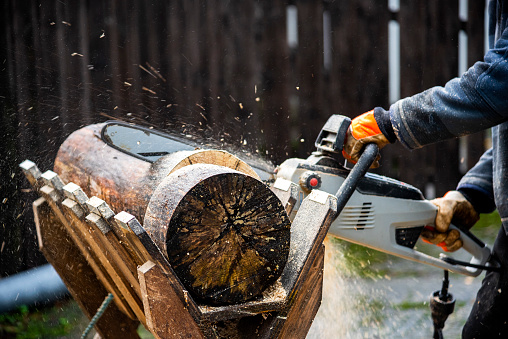 Tree surgeon man, or lumberjack cutting wood using an electrical chainsaw. The wood is being cut on a Log Saw Horses. The wood cutting is taking place in a woodland with trees in the background.