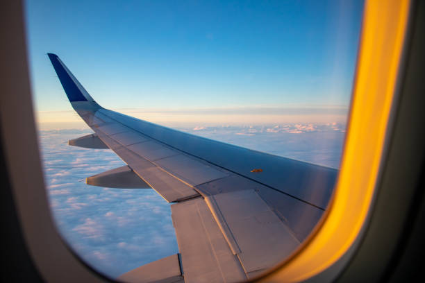 istock Airplane in the Sky View from the Windows during sunset 1448556473