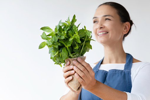 Caucasian female is holding a bunch of mint   in front of white background. Representing healthy lifestyle concept.