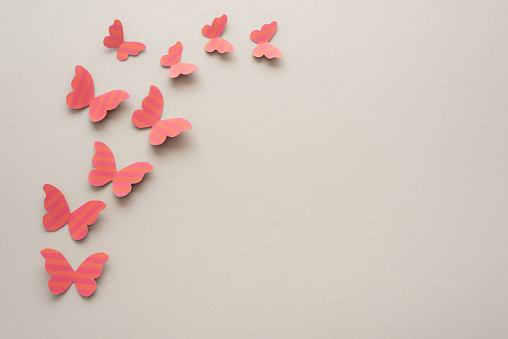 Pink paper butterflies on a grey background.