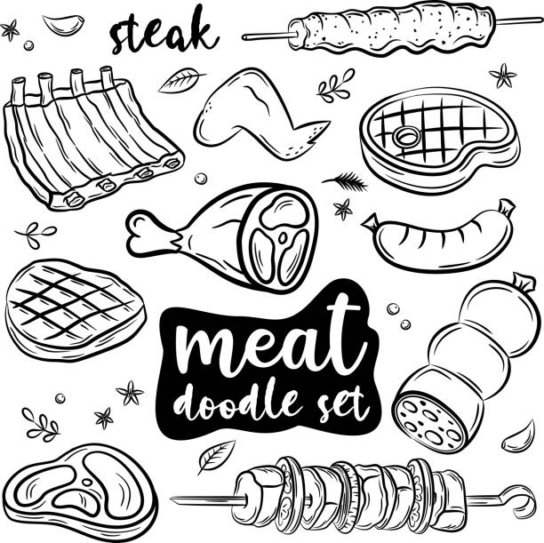 Hand drawn doodle set of meat and poultry Hand drawn doodle set of meat and poultry. Vector illustration set vienna sausage stock illustrations