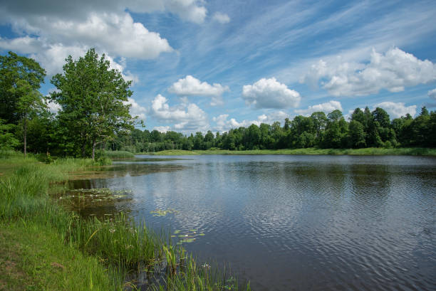 istock View of the beautiful lake. 1448563191