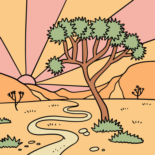 joshua wüste mit bäumen landschaft. amerika wildwest-natur staubige wüste mit arizona-prärie, pfad und canyon-felsen. handgezeichnete lineare vektorillustration. - wpa stock-grafiken, -clipart, -cartoons und -symbole