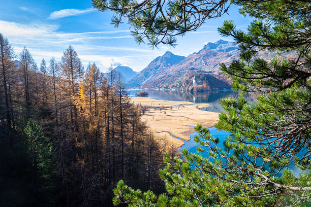 belle vue automnale sur le lac de sils et plan grand dans la vallée de l’engadine, suisse - oberengadin photos et images de collection