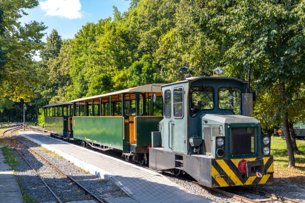 narrow gauge railway in Gemenc-Dunapart, Hungary stock photo