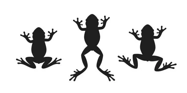 Vector illustration of Frog silhouette