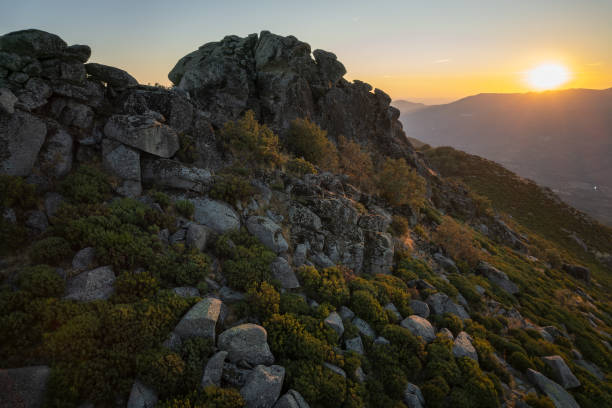 istock Landscape in Extremadura 1448573209