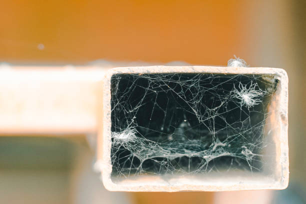 istock Webspider inside an iron bar. This structuralist picture makes a nice abstraction or a wallpaper. 1448574927