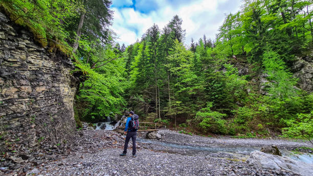 istock Backpacker on a hiking path in the Karawanks in Carinthia. Alps 1448576502