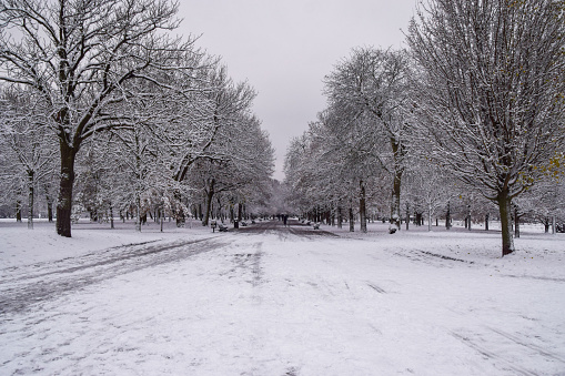 Regent's Park in London after heavy snowfall.