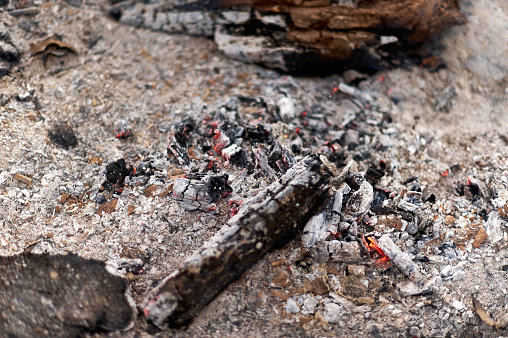 Close-up of the embers of a bonfire with abundant ash