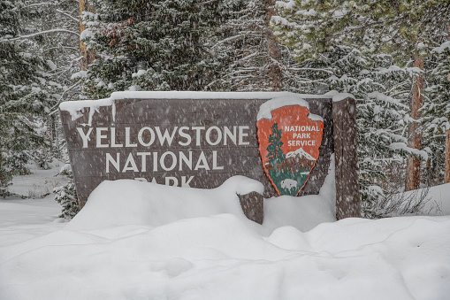 Entering Yellowstone National Park sign covered partly with snow after December blizzard, USA, North America. Tax payer bought, Citizen owned 150 year old, public property