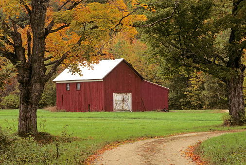 Tranquil autumn scene along a winding country road in rural Vermont with colorful fall foliage and red barn.