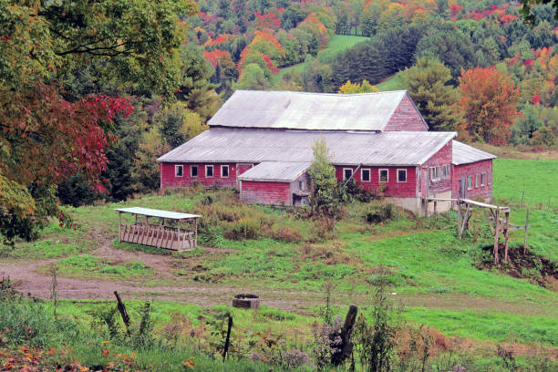 istock Autumn foliage and rustic red barn in rural Vermont 1448581277