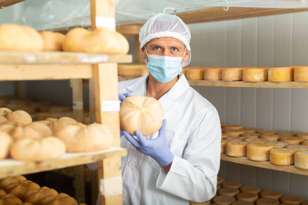 istock Cheesemaker checking aging process of goat cheese in maturing chamber 1448583949