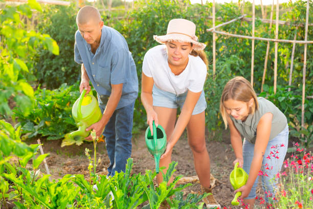 istock Mother, father and daughter watering plants 1448585051