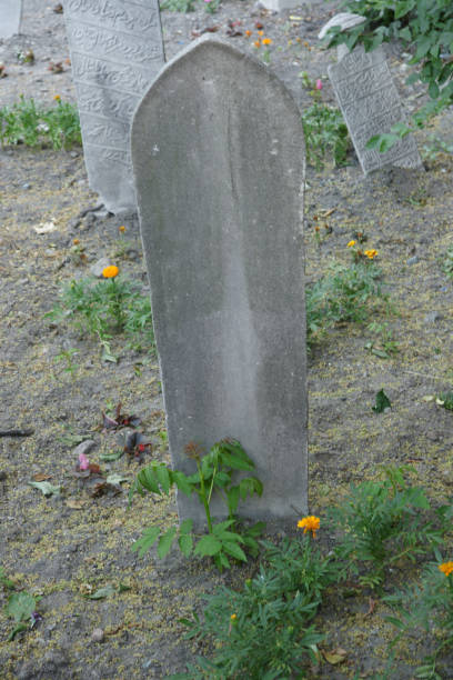 istock Old Ottoman Tombstones - Istanbul - TURKEY 1448585998