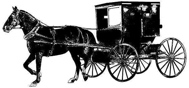 vector sketch of Amish horse and buggy