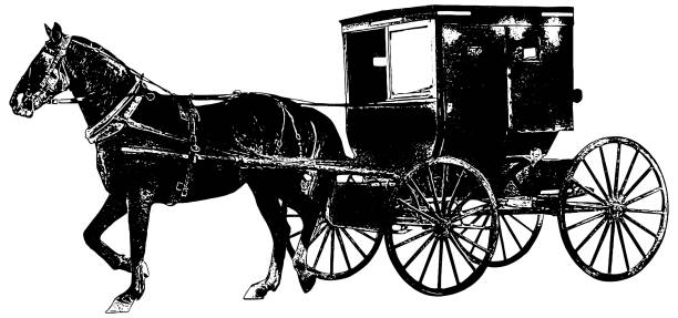 Amish horse and buggy vector sketch of Amish horse and buggy Amish stock illustrations