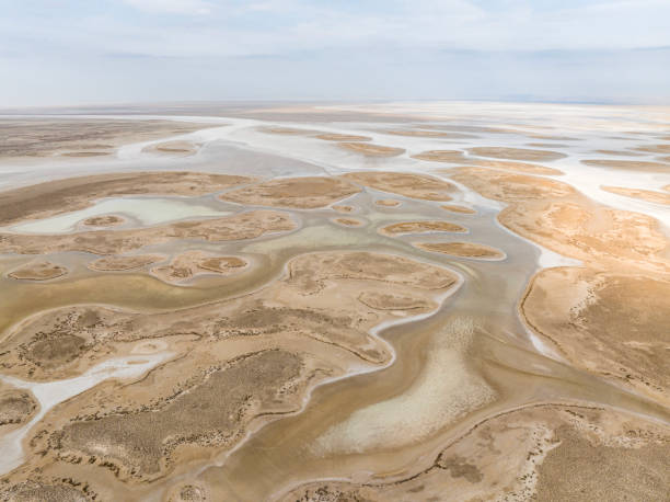 istock Natural shapes and textures on lake 1448586329