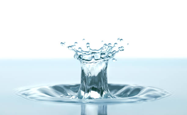 istock Water splash like crown on white background 1448586745