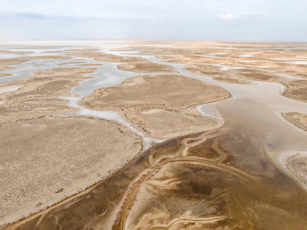 istock Natural shapes and textures on lake 1448587415