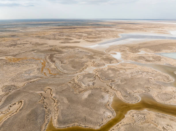 istock Natural shapes and textures on lake 1448587435