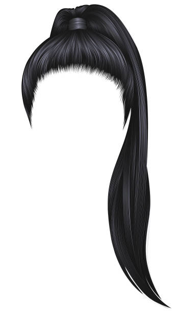 Female Hair Vector Png