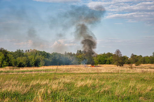 People burn a huge fire in the field at sunny day
