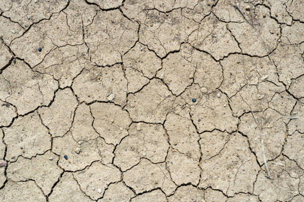 istock Brown dry soil or desert cracked ground texture background,land arid earth warming. 1448594311