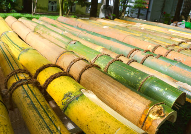 istock A raft of bamboo trunks. 1448597199